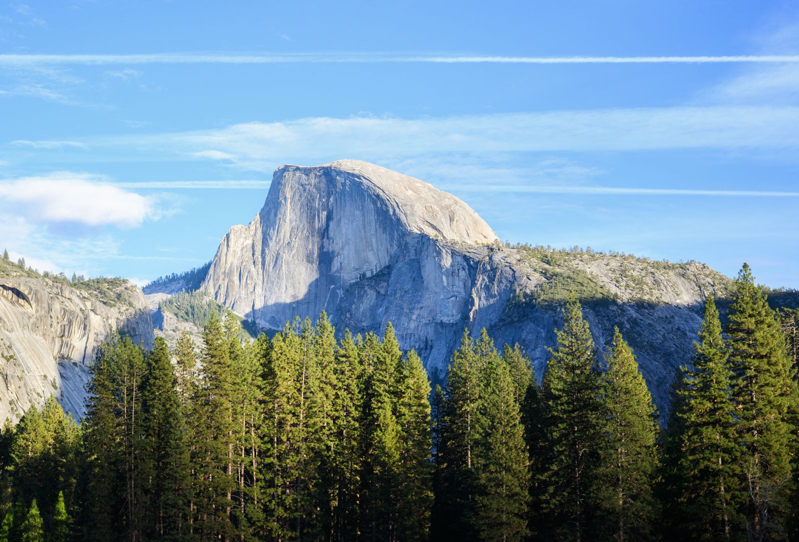 Half Dome rising above a forest of dark green pines